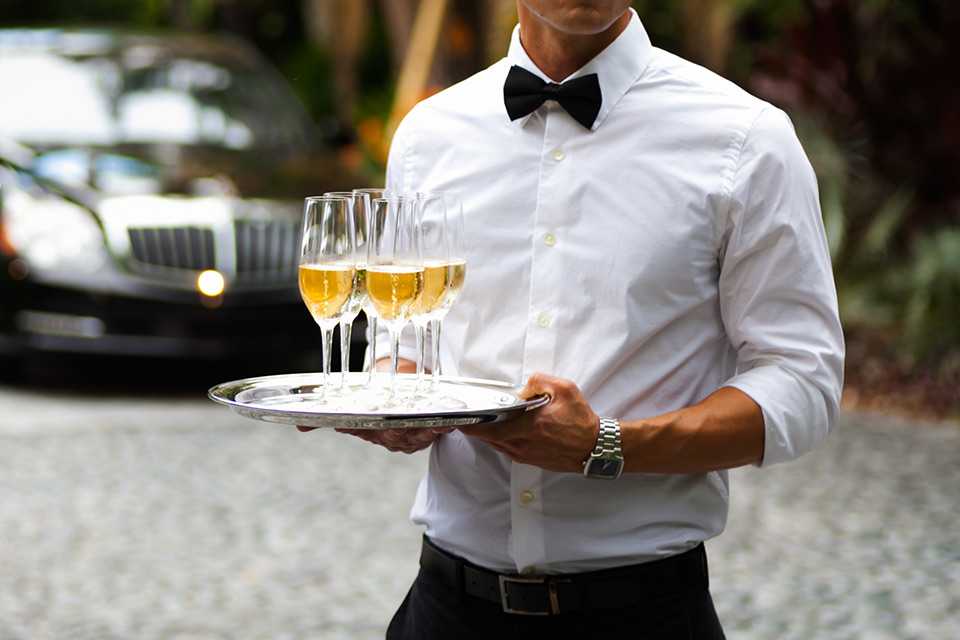 Explore Our Specialized Services