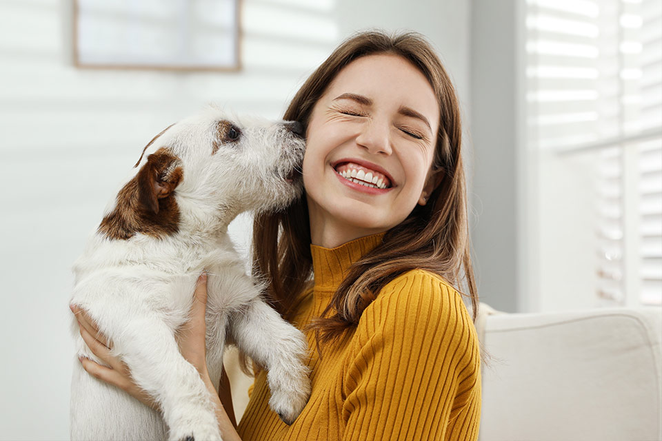 Pet Sitting Service In Las Vegas