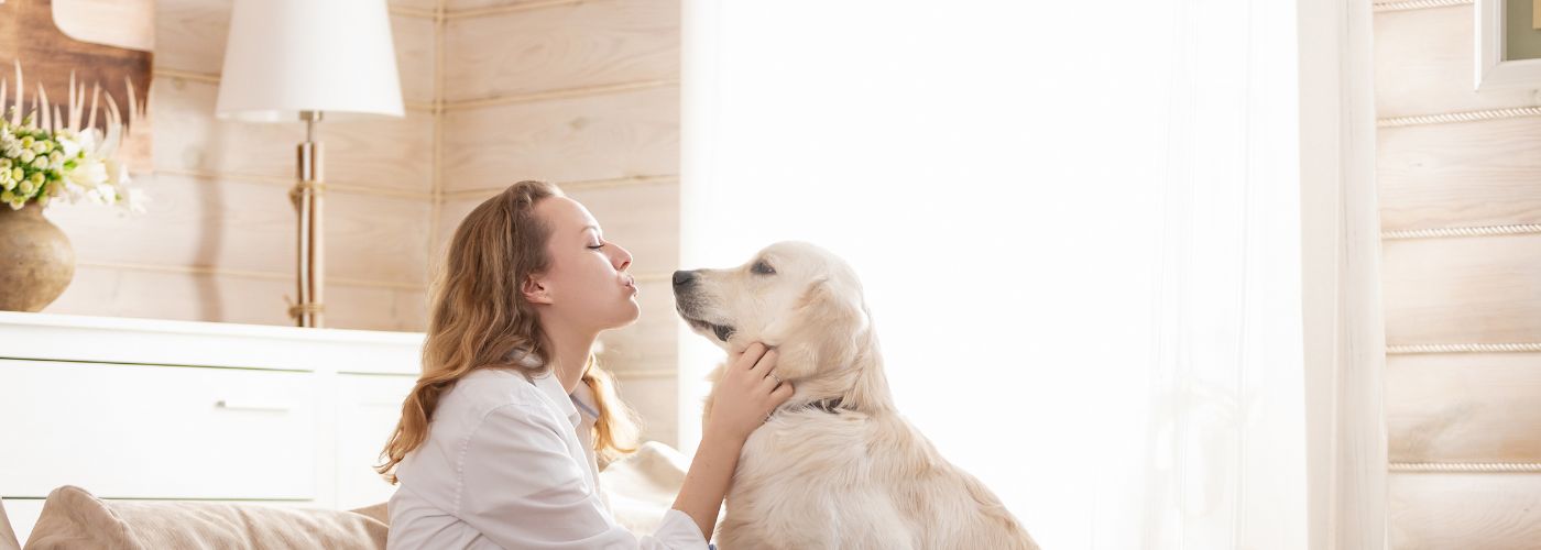 Helps Keep Pets in Familiar Surroundings