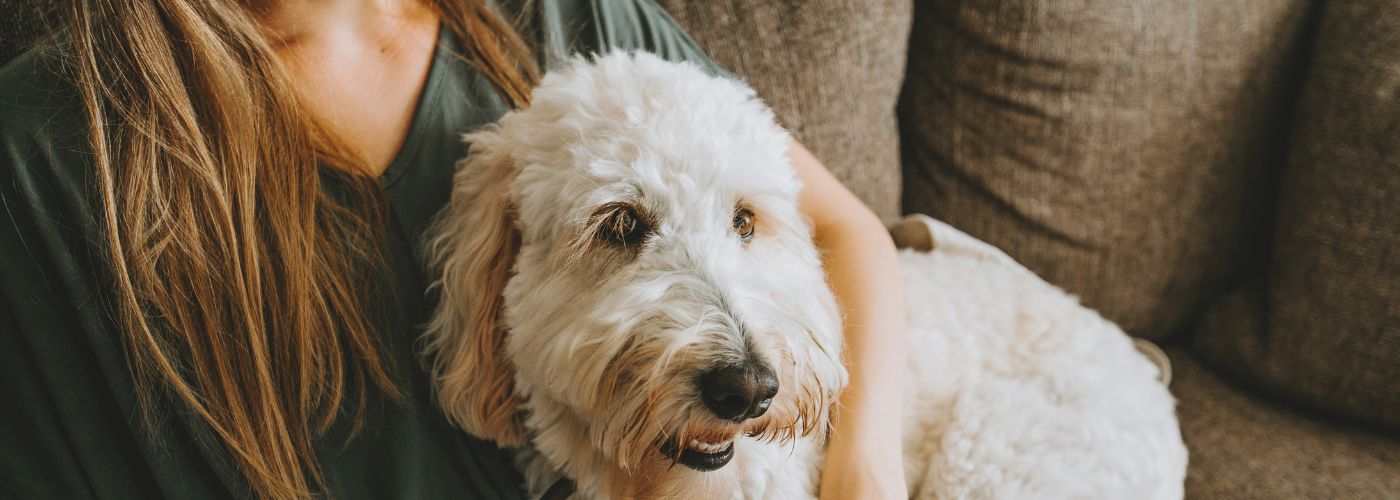 How To Prepare Your Home For A Pet Sitter  