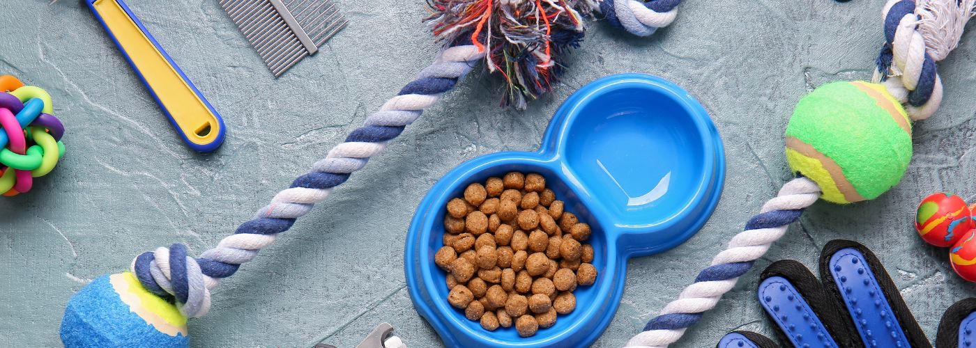Organizing Supplies For The Pet Sitter